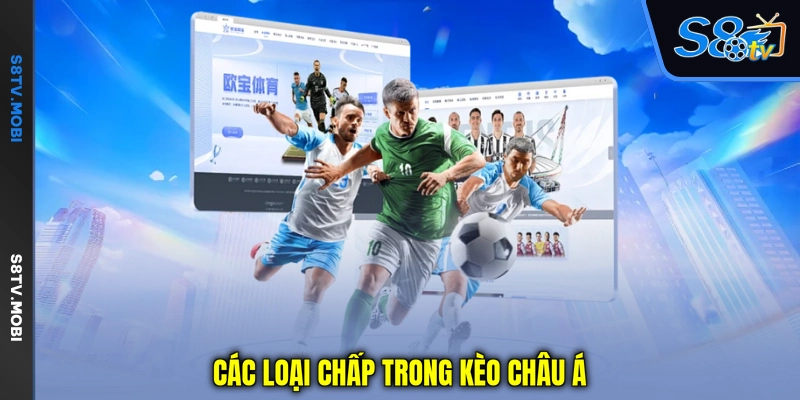 Các loại chấp trong kèo châu Á